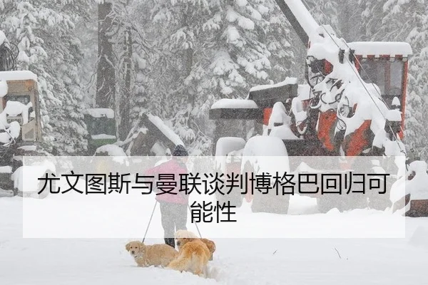 尤文图斯与曼联谈判博格巴回归可能性