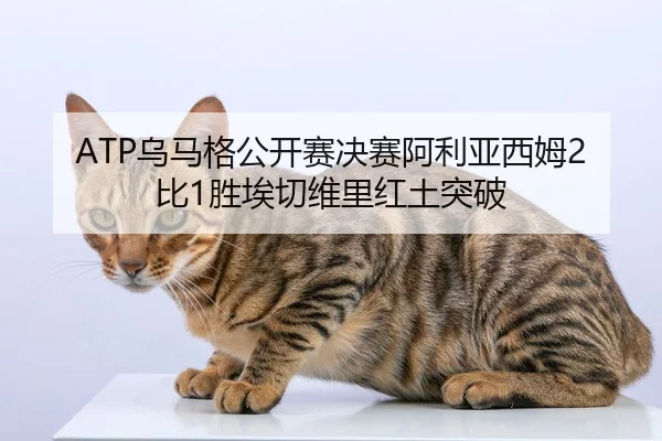 ATP乌马格公开赛决赛阿利亚西姆2比1胜埃切维里红土突破